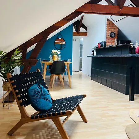 Apartament Le Cocon Bleu T3 Hypercentre Angers