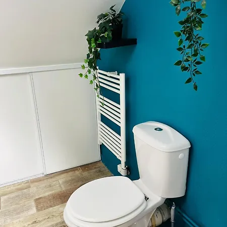 Le Cocon Bleu T3 Hypercentre Apartament